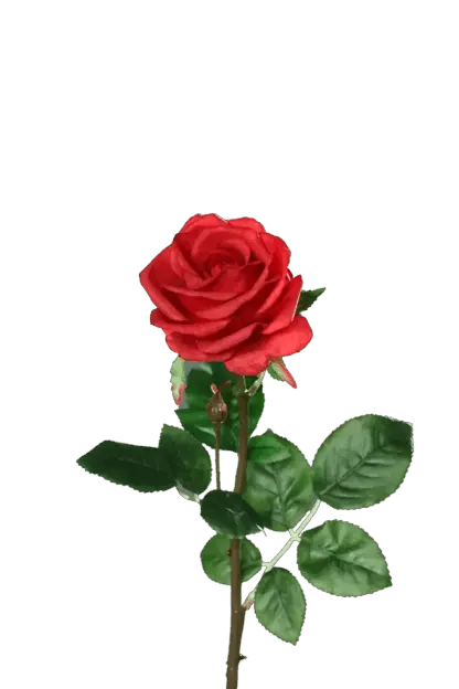 Künstliche Rose - Philipos | 66 cm*
