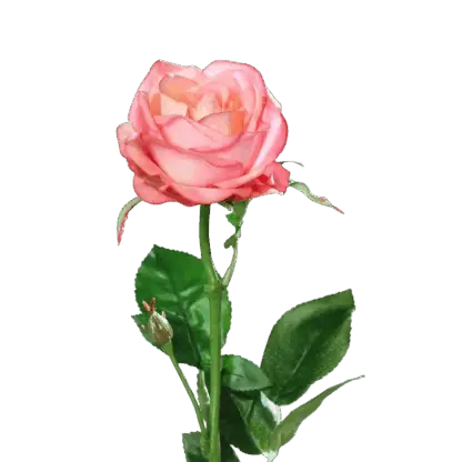 Künstliche Rose - Sokrates | 66 cm*