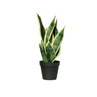 Künstliche Sanseveria - Ares | 40 cm*