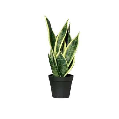 Künstliche Sanseveria - Ares | 40 cm*