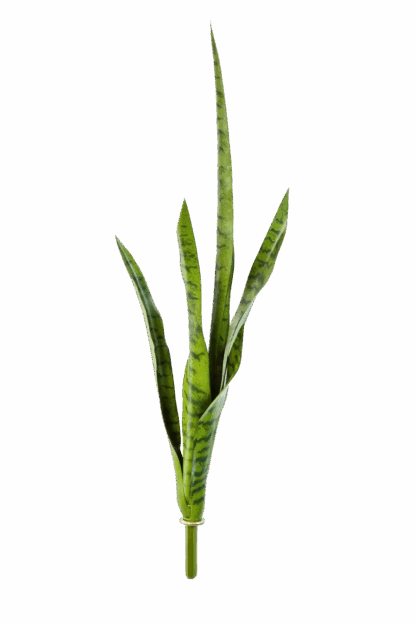 Künstliche Sanseveria - Ben | 81 cm*