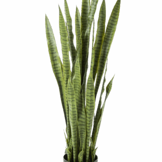 Künstliche Sanseveria - Nicolas | 120 cm*
