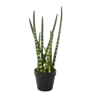 Künstliche Sansevieria - Dundee | 42 cm*