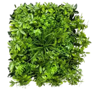 Künstliche Schefflera Matte - Malte | 50x50 cm*