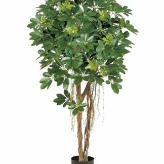 Künstliche Schefflera - Olaf | 110 cm*