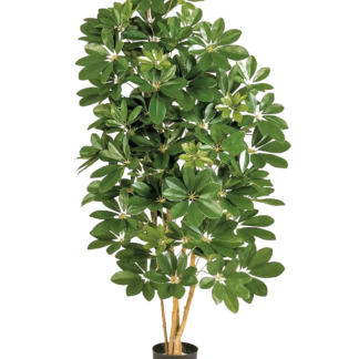 Künstliche Schefflera - Omer | 80 cm*