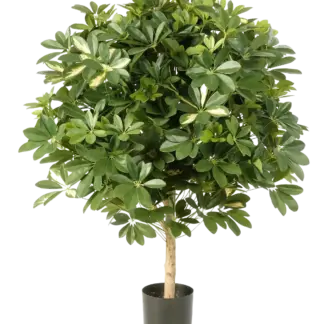 Künstliche Schefflera - Phoebe | 110 cm*