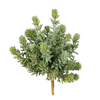 Künstliche Sedum - Helin | 20 cm*