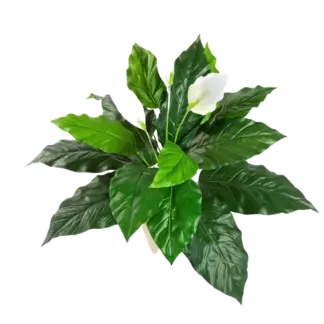 Künstliche Spathiphyllum Steckpflanze - Luna | 71 cm*
