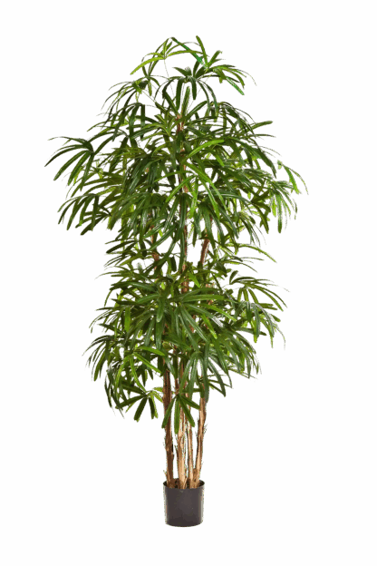 Künstliche Steckenpalme - Nela | 140 cm*