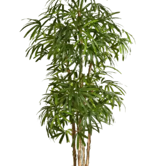 Künstliche Steckenpalme - Nela | 170 cm*