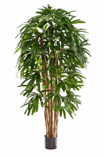 Künstliche Steckenpalme - Noemi | 150 cm*