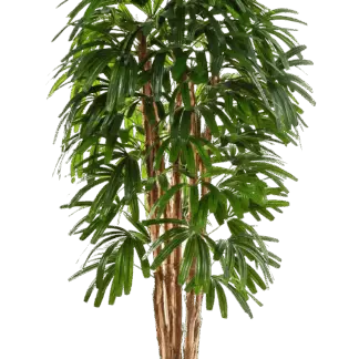 Künstliche Steckenpalme - Noemi | 210 cm*