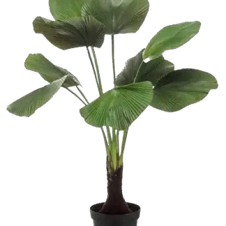 Künstliche Strahlen Palme - Naomi | 130 cm*