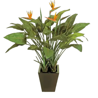Künstliche Strelitzia - Charlotte | 130 cm*