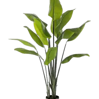 Künstliche Strelitzia - Clemens | 150 cm*