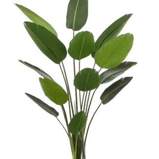 Künstliche Strelitzia - Josephine | 190 cm*