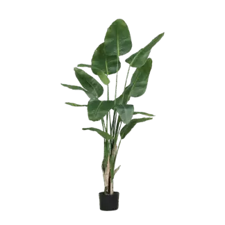 Künstliche Strelitzia - Leon | 210 cm*