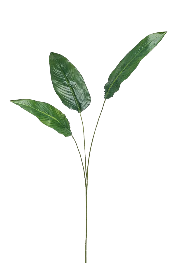 Künstliche Strelitzia - Manu | 135cm*