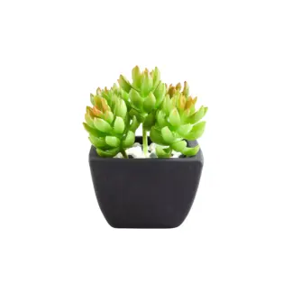 Künstliche Sukkulente – Nepomuk | 14 cm*
