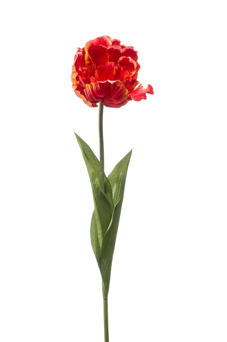 Künstliche Tulpe rot | 66x6cm*