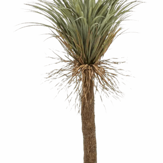 Künstliche Yucca Palme - Kristina | 150 cm*