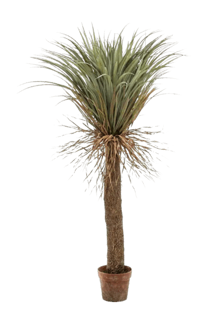 Künstliche Yucca Palme - Kristina | 150 cm*