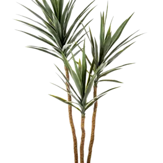 Künstliche Yucca – Talandra | 150 cm*
