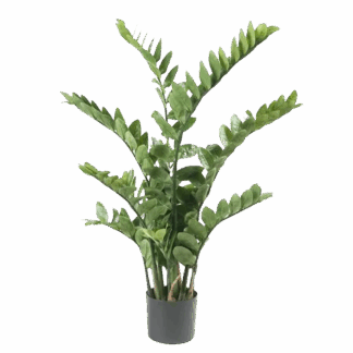 Künstliche Zamioculcas - Elena | 110 cm*