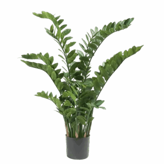 Künstliche Zamioculcas - Elena | 130 cm*