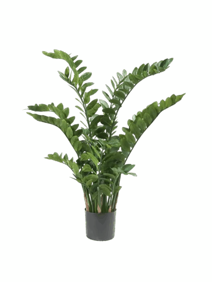 Künstliche Zamioculcas - Elena | 130 cm*