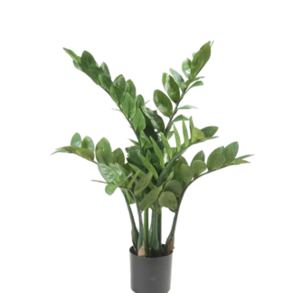 Künstliche Zamioculcas - Elena | 70 cm*