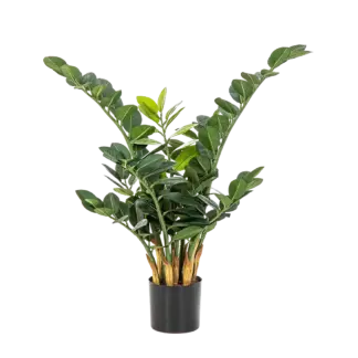 Künstliche Zamioculcas - Svea | 66 cm*