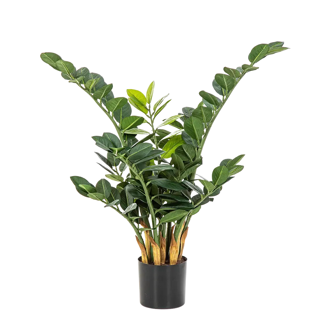 Künstliche Zamioculcas - Svea | 66 cm*