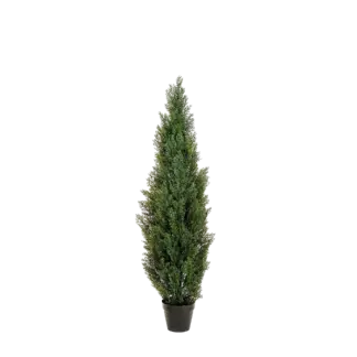 Künstliche Zeder – Thalion | 180 cm*