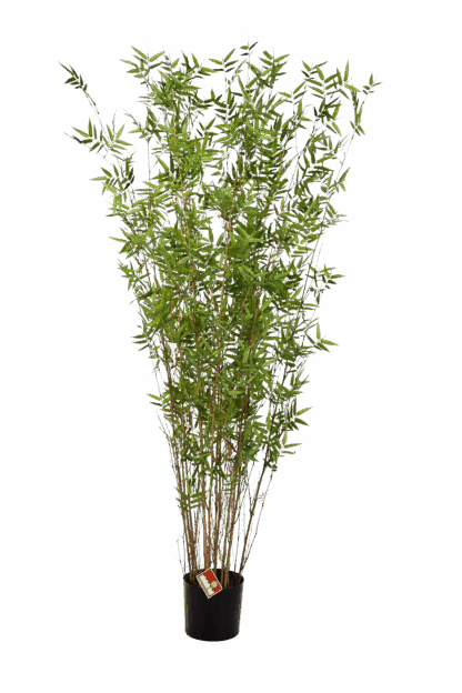 Künstlicher Bambus - Louis | 70 cm*