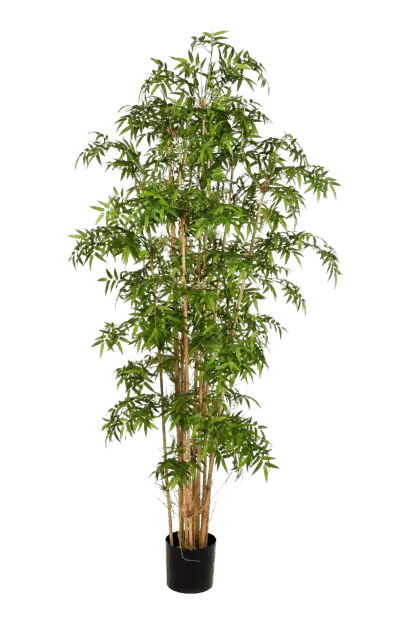 Künstlicher Bambus - Lucia | 230 cm*