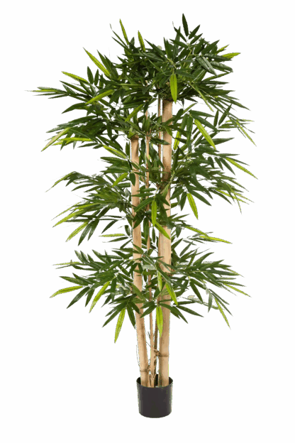 Künstlicher Bambus - Martha | 180 cm*