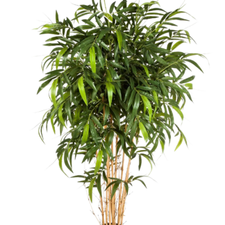 Künstlicher Bambus - Maxim | 210 cm*