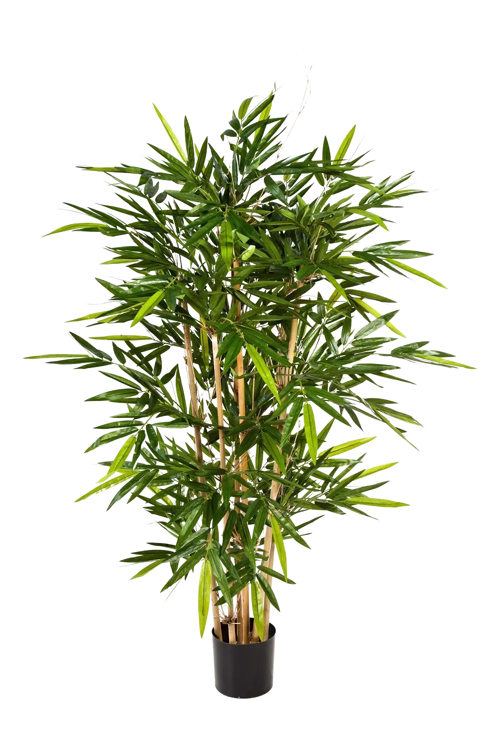 Künstlicher Bambus - Melina | 270 cm*