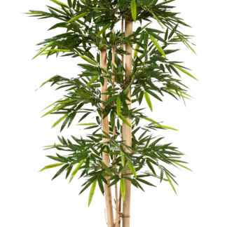 Künstlicher Bambus - Michael | 300 cm*