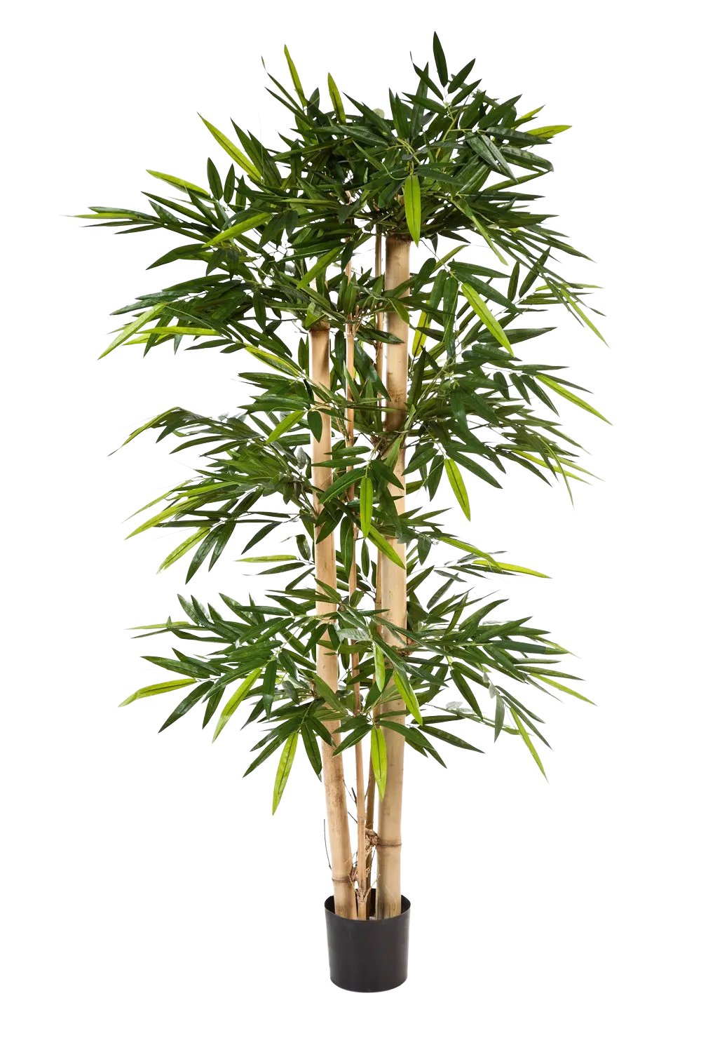 Künstlicher Bambus - Michael | 300 cm*