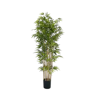Künstlicher Bambus - Pirus | 180 cm*
