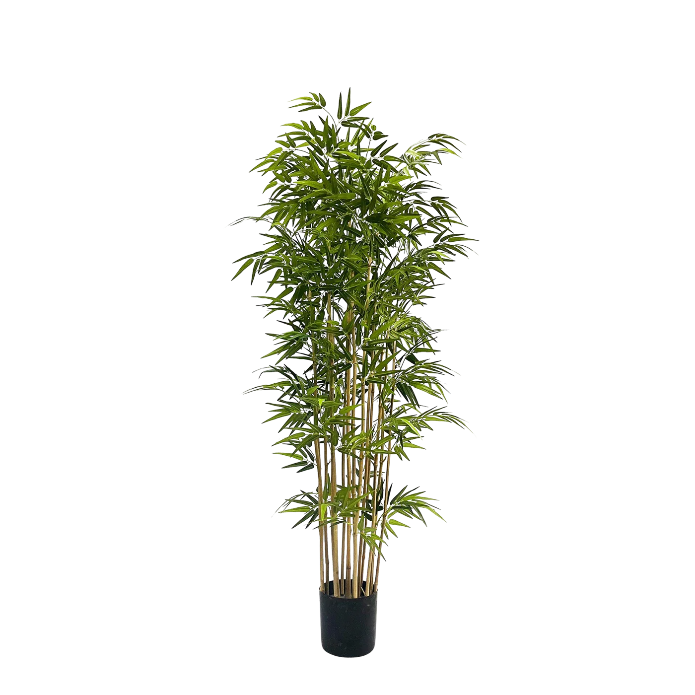 Künstlicher Bambus - Pirus | 180 cm*