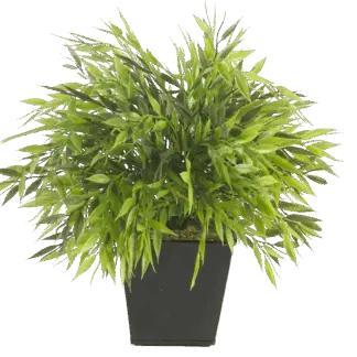 Künstlicher Bambus Topf - Naoto | 25 cm*