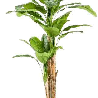 Künstlicher Bananenbaum - Can | 210 cm*