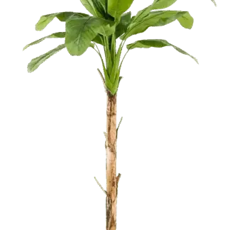 Künstlicher Bananenbaum - Coco | 150 cm*