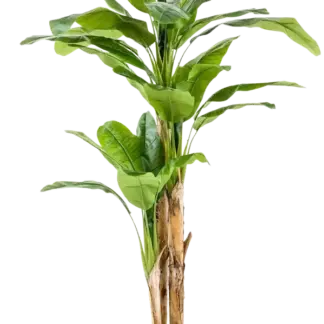 Künstlicher Bananenbaum – Maliora | 210 cm*