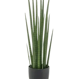 Künstlicher Bogenhanf - Joleen | 70 cm*