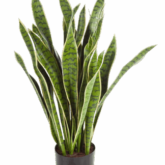 Künstlicher Bogenhanf - Liam | 93 cm*